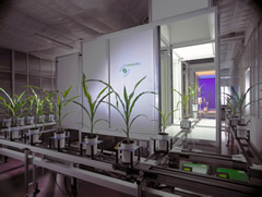 溫室型高通量3D植物表型平臺Scanalyzer 3D