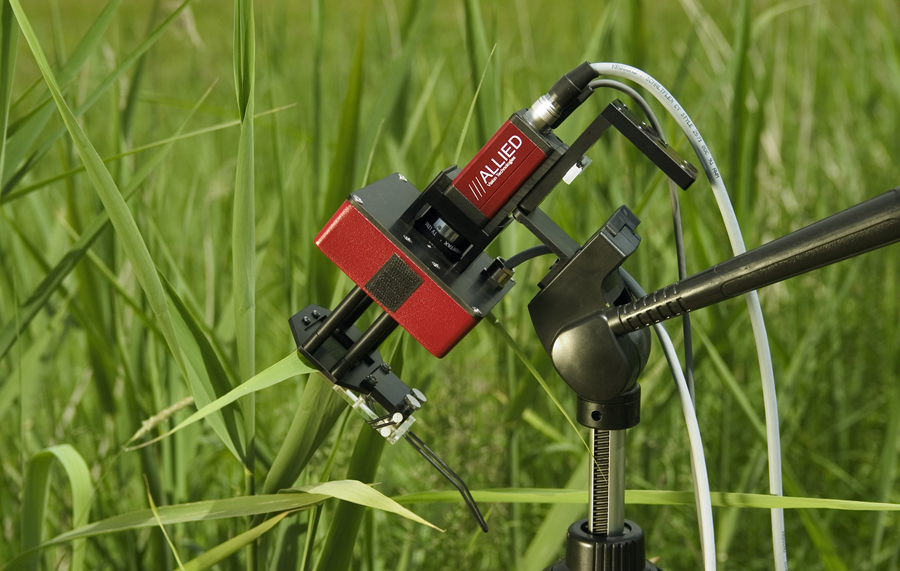 DSC_1707-1.jpg DSC_1707-1.jpg