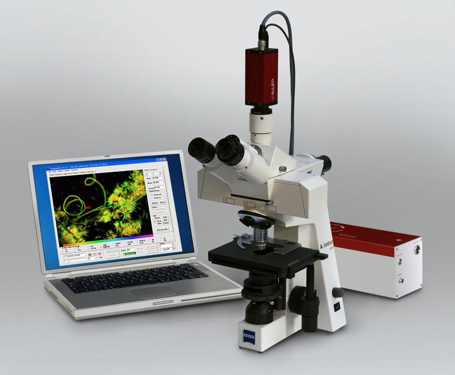 DSC_2497_2-1.jpg DSC_2497_2-1.jpg