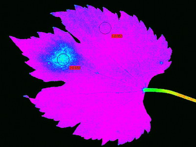 seite2b2.jpg seite2b2.jpg