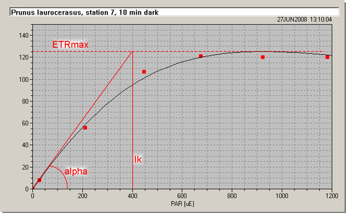 rd03_p01.jpg rd03_p01.jpg