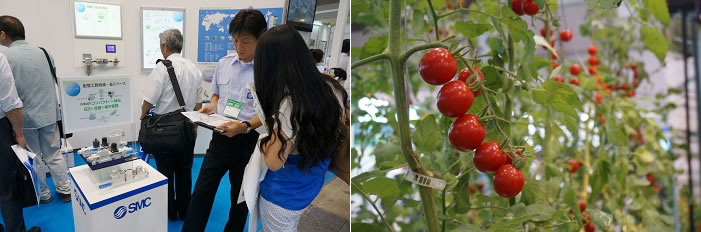 2014年設(shè)施園藝植物工廠展覽2.jpg 2014年設(shè)施園藝植物工廠展覽2.jpg