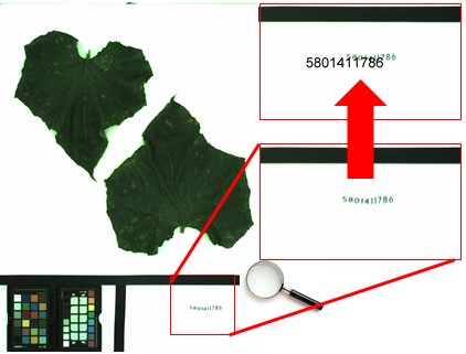 Keybox-5.jpg Keybox-5.jpg