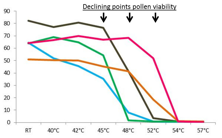 花粉18112902.jpg 花粉18112902.jpg