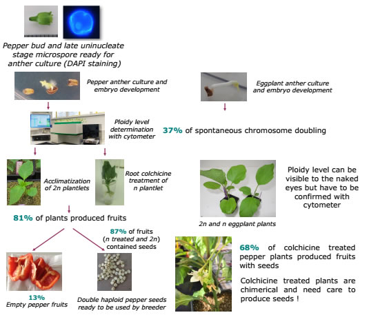 圖2191009.jpg 圖2191009.jpg