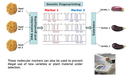 圖3191009.jpg 圖3191009.jpg