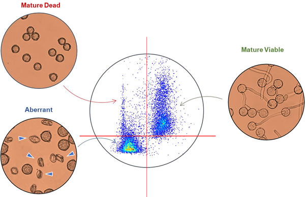圖3200807.jpg 圖3200807.jpg