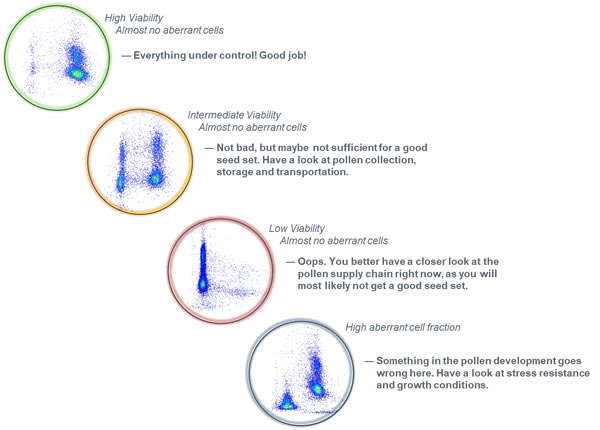 圖6200807.jpg 圖6200807.jpg