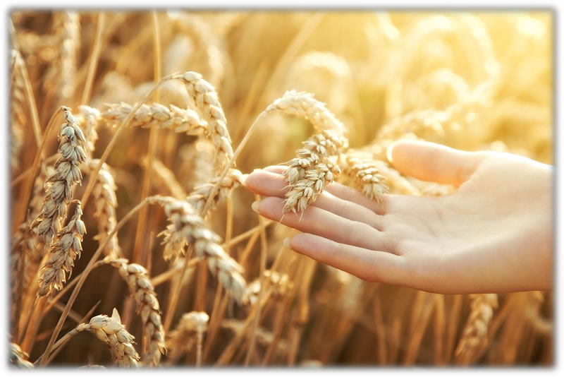 圖120111201.jpg 圖120111201.jpg