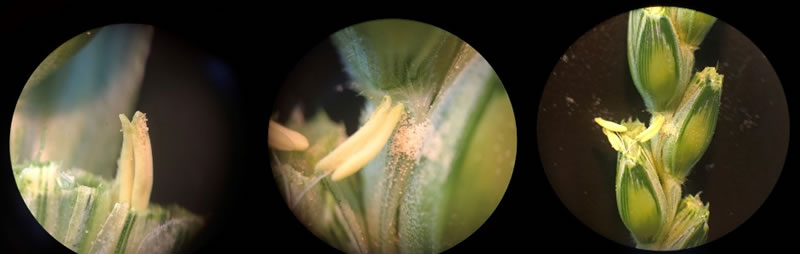 圖220111201.jpg 圖220111201.jpg