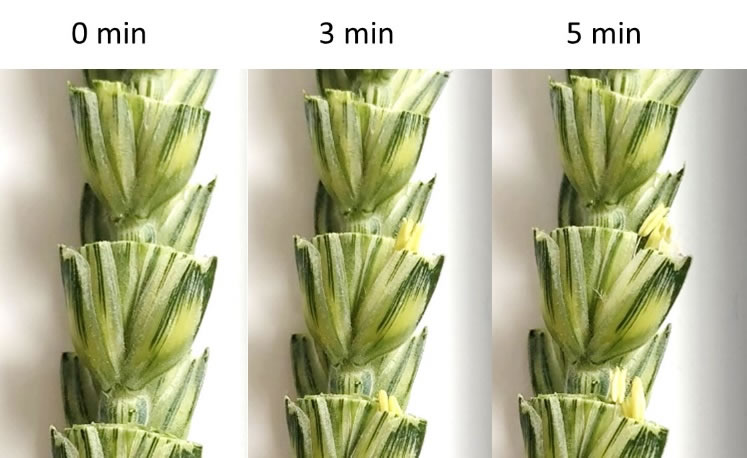 圖620111201.jpg 圖620111201.jpg