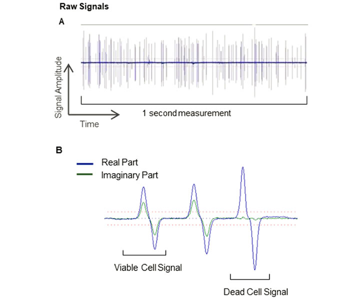 圖221083102.jpg 圖221083102.jpg
