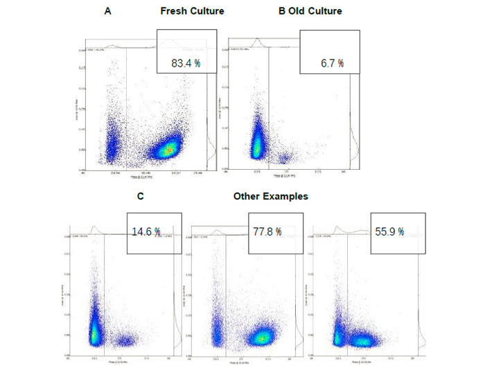 圖421083102.jpg 圖421083102.jpg