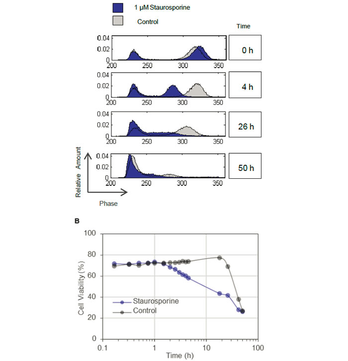 圖721083102.jpg 圖721083102.jpg