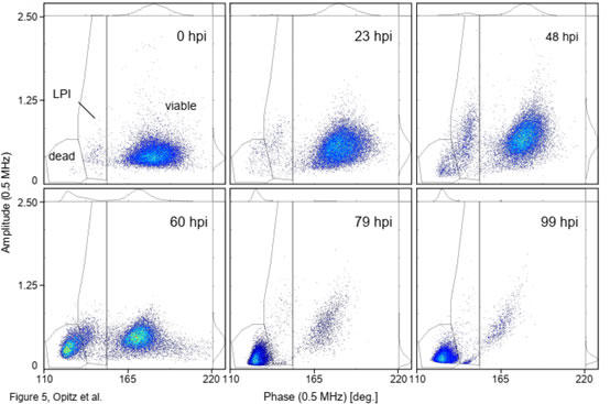 圖52109141.jpg 圖52109141.jpg