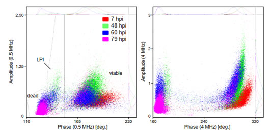 圖62109141.jpg 圖62109141.jpg