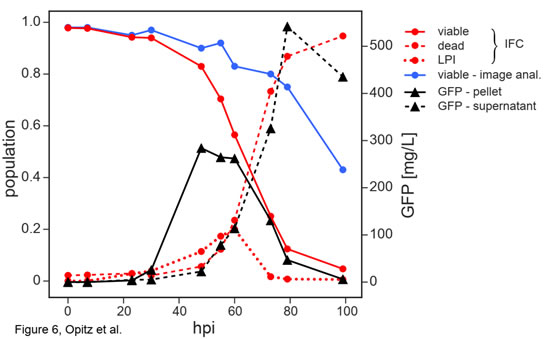 圖82109141.jpg 圖82109141.jpg