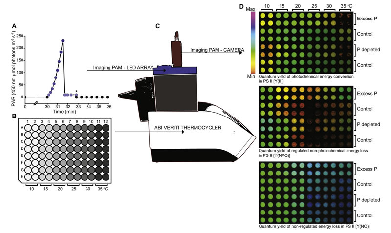 圖1211118s.jpg 圖1211118s.jpg