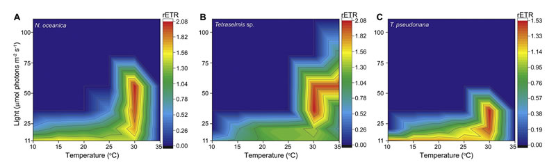 圖2211118s.jpg 圖2211118s.jpg