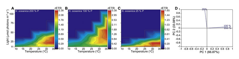 圖3211118s.jpg 圖3211118s.jpg