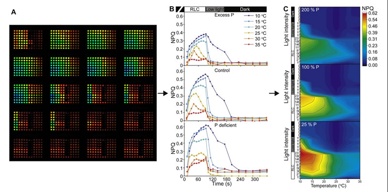 圖4211118s.jpg 圖4211118s.jpg