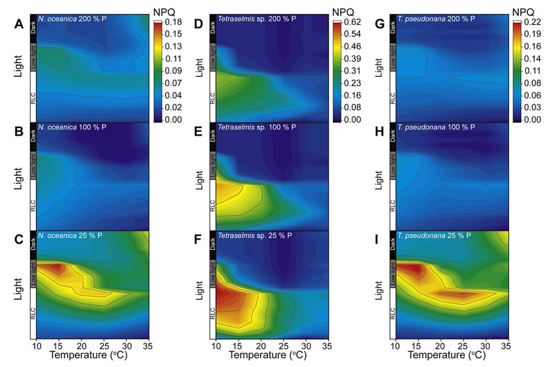 圖5211118s.jpg 圖5211118s.jpg