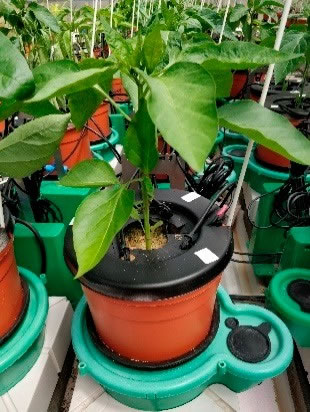 圖121121303.jpg 圖121121303.jpg