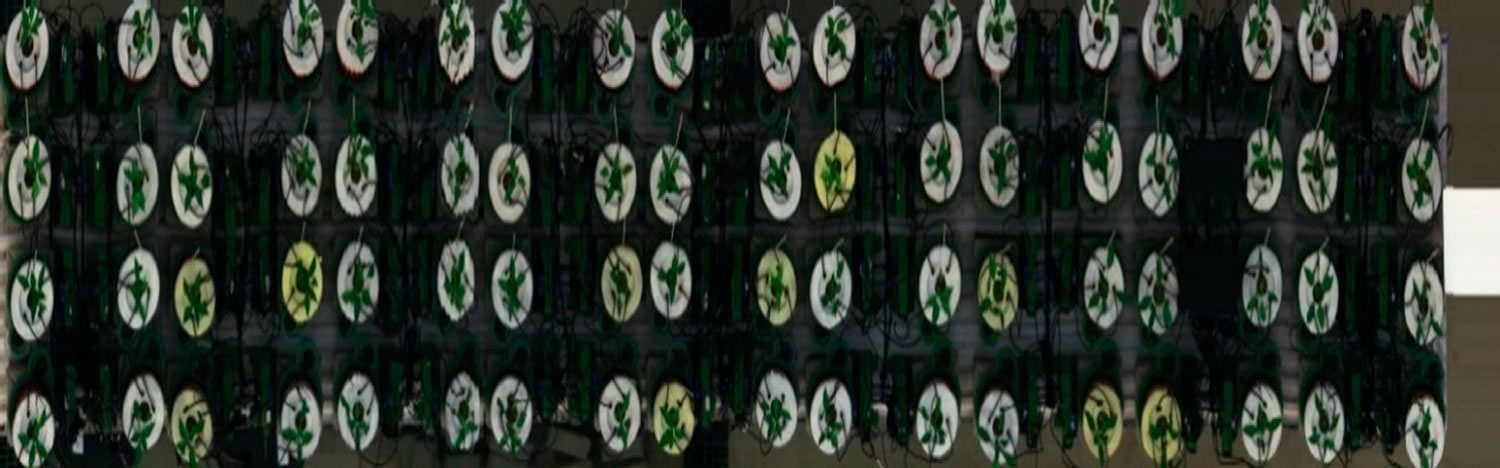 圖321121303.jpg 圖321121303.jpg