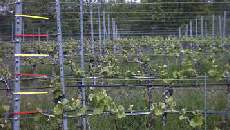 圖片17.png 圖片17.png