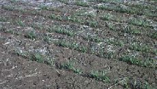 圖片19.png 圖片19.png