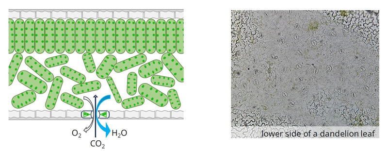 圖224120501.jpg 圖224120501.jpg