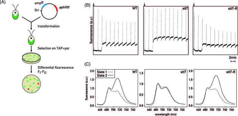 圖225022801.jpg 圖225022801.jpg