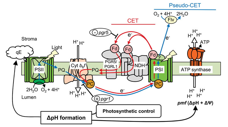 圖425022801.jpg 圖425022801.jpg
