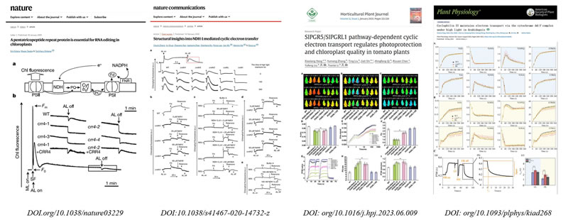 圖625022801s.jpg 圖625022801s.jpg