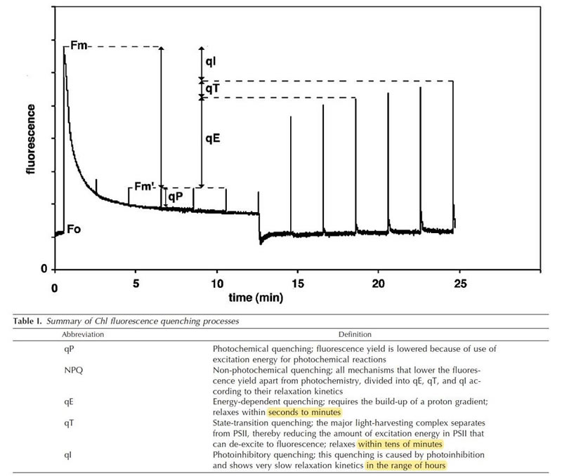 圖825022801.jpg 圖825022801.jpg
