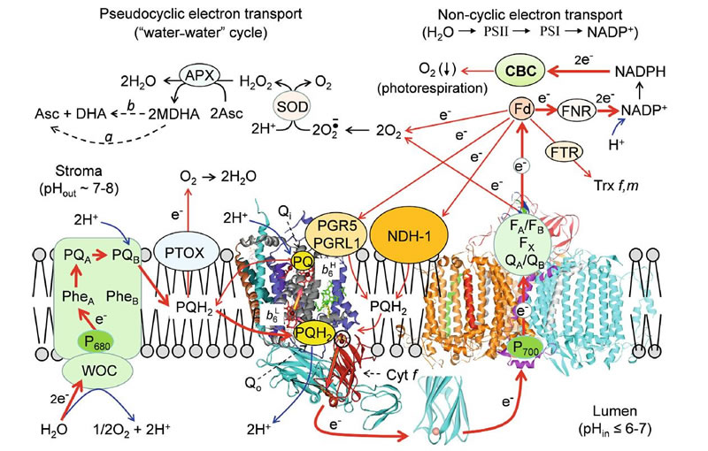 圖1125022801.jpg 圖1125022801.jpg