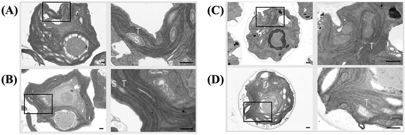 圖425032601.jpg 圖425032601.jpg