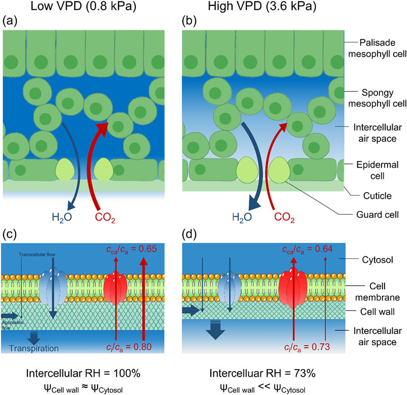 圖425081302.jpg 圖425081302.jpg
