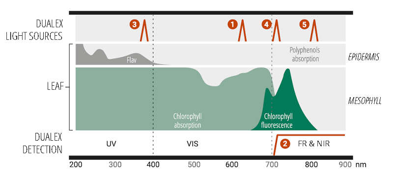 圖片2.png 圖片2.png
