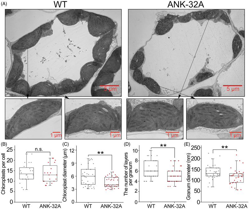 圖250828PJ-6.jpg 圖250828PJ-6.jpg