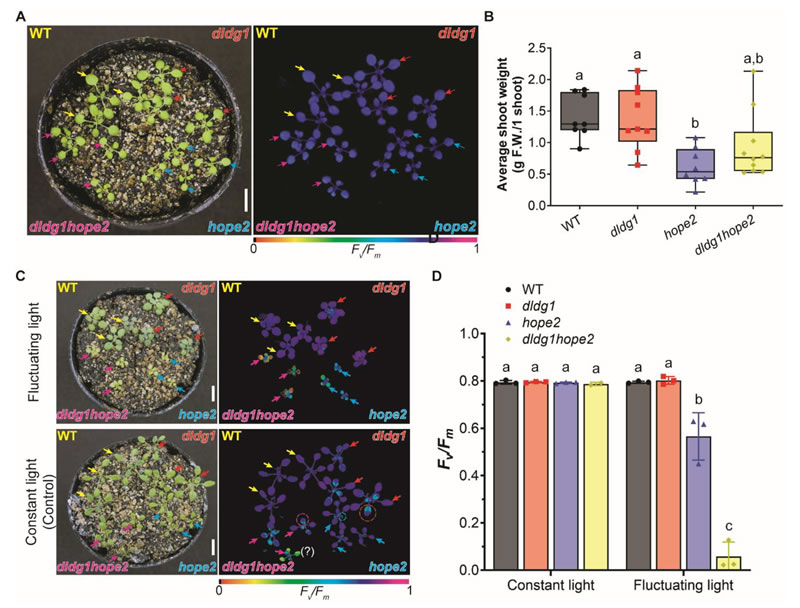 圖250828PP-6.jpg 圖250828PP-6.jpg