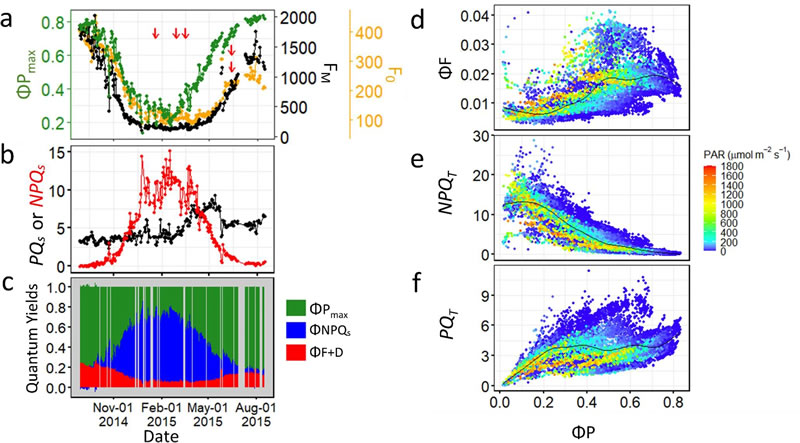 圖525091101.jpg 圖525091101.jpg