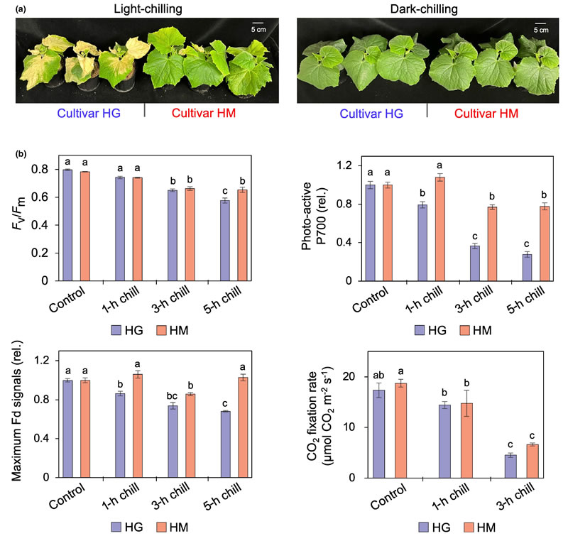圖225091901.jpg 圖225091901.jpg