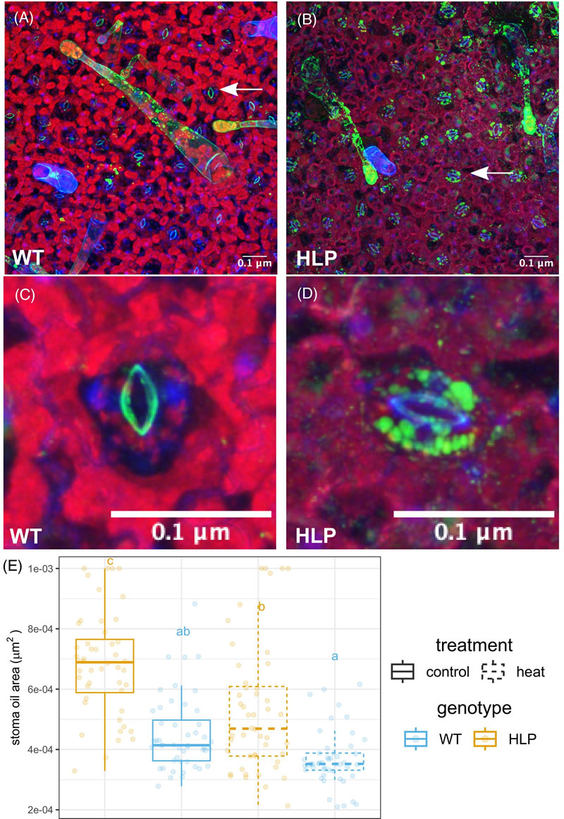 圖625092201.jpg 圖625092201.jpg