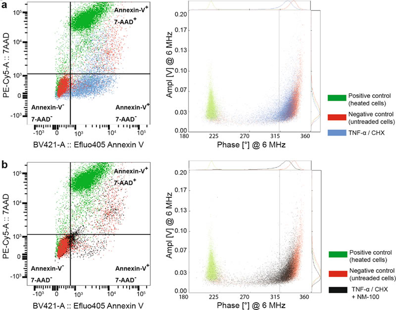 圖625031801.jpg 圖625031801.jpg