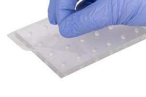 圖片32.png 圖片32.png